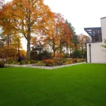 Qualities of The Best Grass Supplier